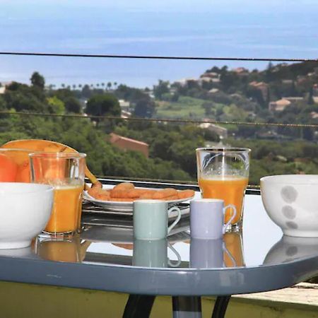 Cap Corse Uribellinu 2 Formule Petit Dejeuner Santa-Maria-di-Lota Екстериор снимка