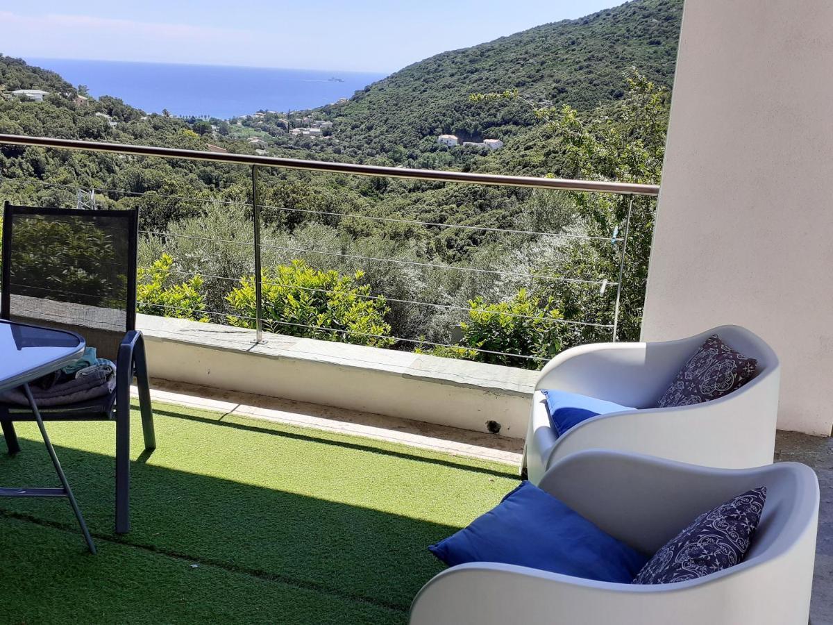 Cap Corse Uribellinu 2 Formule Petit Dejeuner Santa-Maria-di-Lota Екстериор снимка