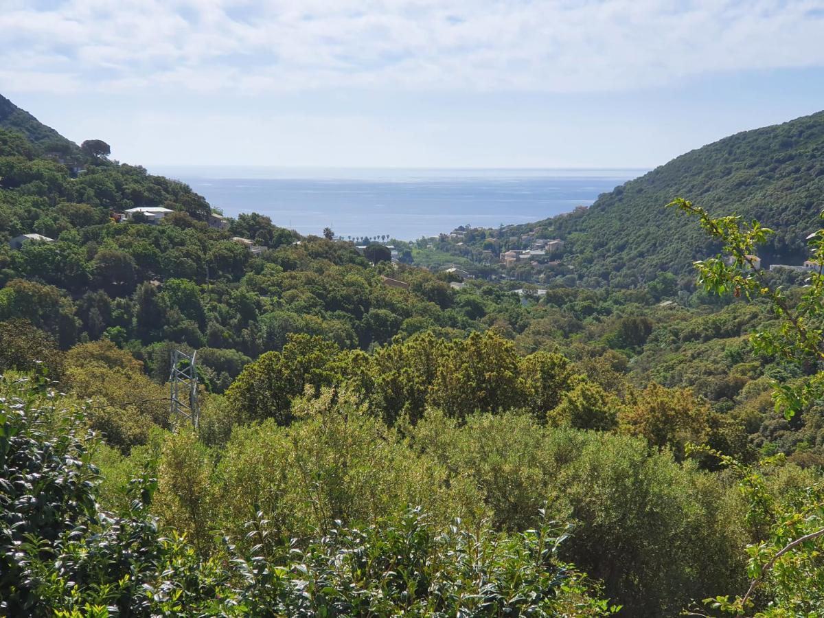 Cap Corse Uribellinu 2 Formule Petit Dejeuner Santa-Maria-di-Lota Екстериор снимка